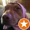Morgan H. Avatar